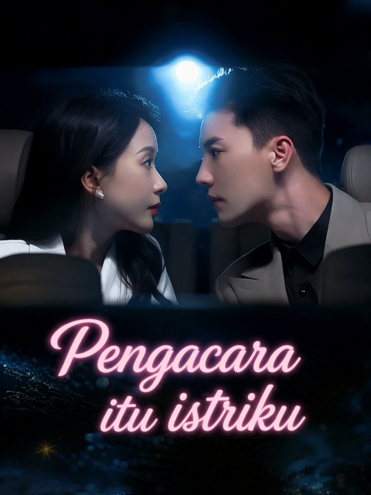 Pengacara itu istriku
