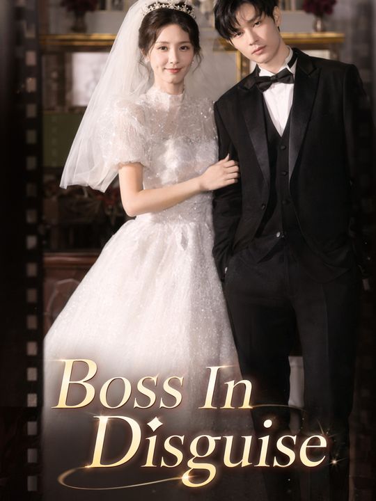 Boss In Disguise