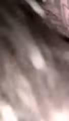Bokep Indo Kakak ML adik lagi tidur goyang di kebun bikin sange