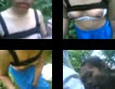 Crot di mulut colmek di sofa ruang tamu sambil live