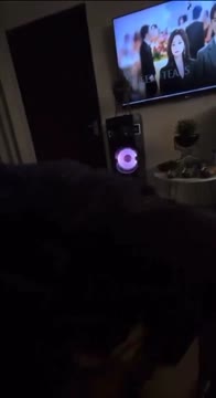 Bokep Mahasiswi Ayam kampus toge doggy di kamar sendiri sampai keluar