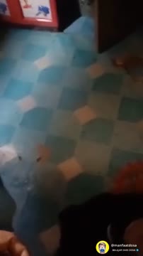 Bokep Indo Menyala bersama ibu sendiri (DENGARKAN SUARANYA)
