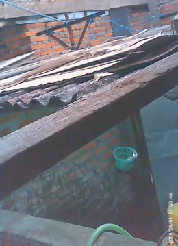 Bokep Indo VID 860 goyang di rumah kosong