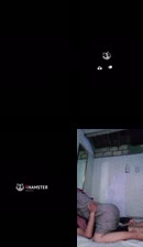 Jilbab sedang asik bercumbu hingga crot dalam
