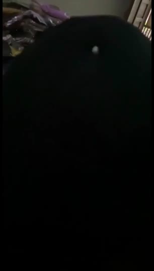 Bokep Indo Bin0r Ngajak Ber0nd0ng Ngent0d di Rumah