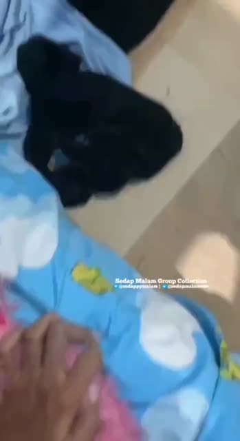 Bokep Indo main di hotel