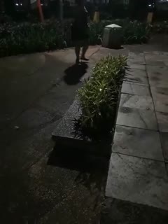 Bokep Indo I desah manja di hotel sambil live