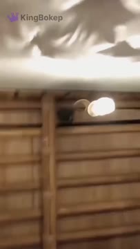 Bokep Indo Video Chindo Binal Teriak Hot Di Villa Bambu