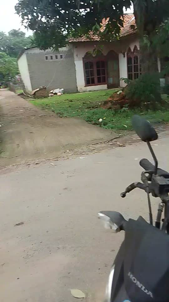 Bokep Indo VID kena gilir di kebun