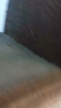 Live Show Ngintip IBU Salsabila Nasution Lagi VCS