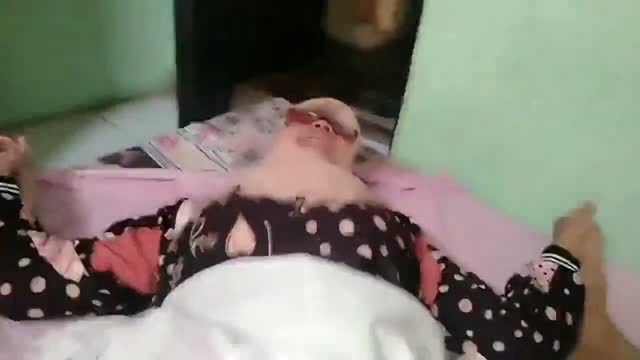 Stw hijab digenjot berondong ngewe di kamar sendiri