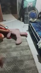 Bokep Indo Pijat bapak baju cream full