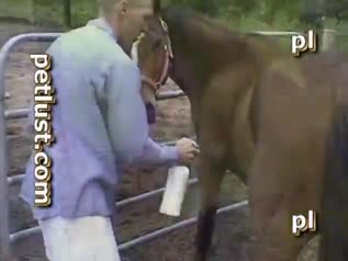 Bokep Indo Gay man indulges in horse sex in bestiality video
