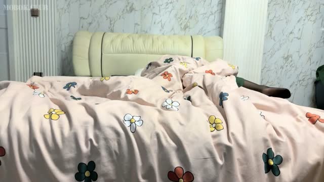 Bokep Indo 1000 tobrut main di hotel bareng tiktokers