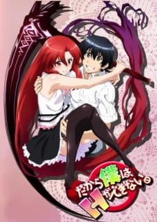 Dakara Boku Wa H Ga Dekinai