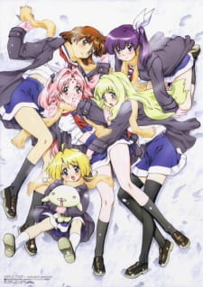 Girls Bravo First Season