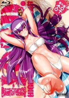 Highschool Of The Dead Drifters Of The Dead