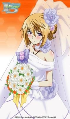 Is Infinite Stratos 2 Infinite Wedding