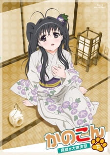 Kanokon Manatsu No Dai Shanikusai