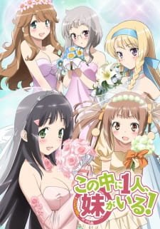 Kono Naka Ni Hitori Imouto Ga Iru