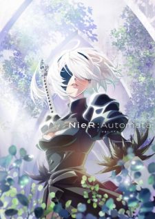 Nierautomata Ver1 1A