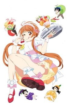 Nisekoi Ova