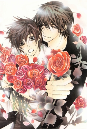 Sekai Ichi Hatsukoi English Subbed & Dubbed