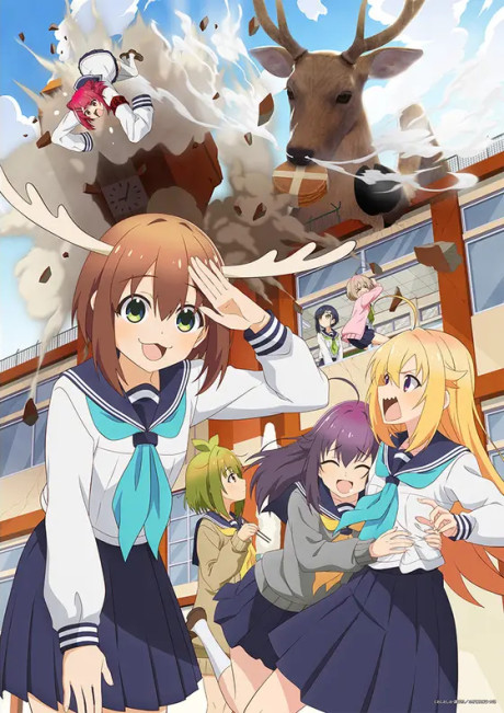 Shikanoko Nokonoko Koshitantan English Subbed & Dubbed