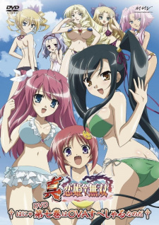 Shin KoihimeÃ¢Â€Â Musou: Gunyuu, Minami no Shima de Bakansu wo Suru no Koto - Ato, Porori mo Aru yo! English Subbed & Dubbed