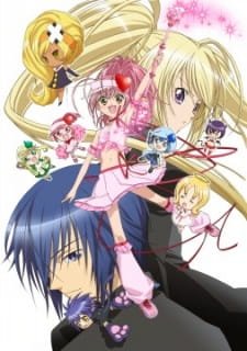 Shugo Chara