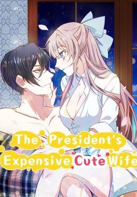 The President's Expensive, Cute Wife English Subbed & Dubbed