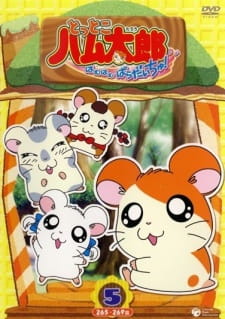 Tottoko Hamtarou English Subbed & Dubbed