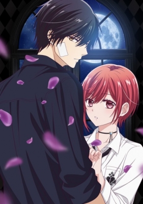 Vampire Dormitory English Subbed & Dubbed