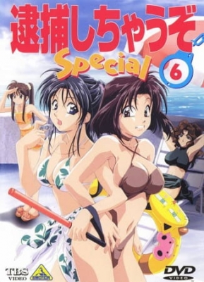 You're Under Arrest: Diverting Traffic at the Beach English Subbed & Dubbed