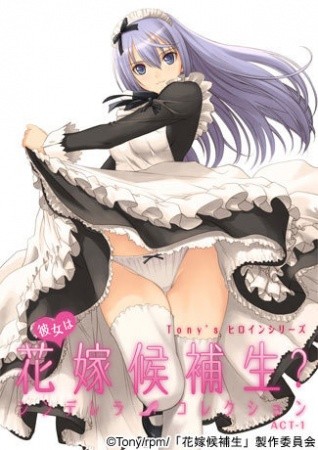 Poster Tony s Heroine Series: Kanojo wa Hanayome Kouhosei? Cinderella Collection