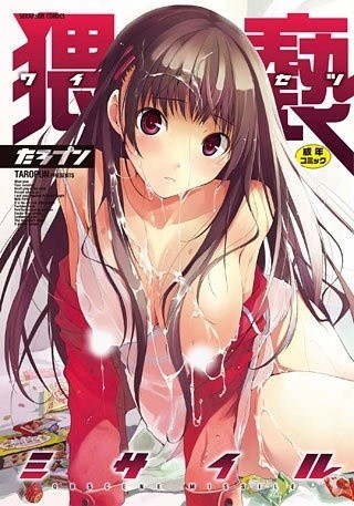 Poster Waisetsu Missile The Animation