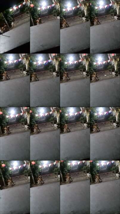 Doggy Di Portal Komplek
