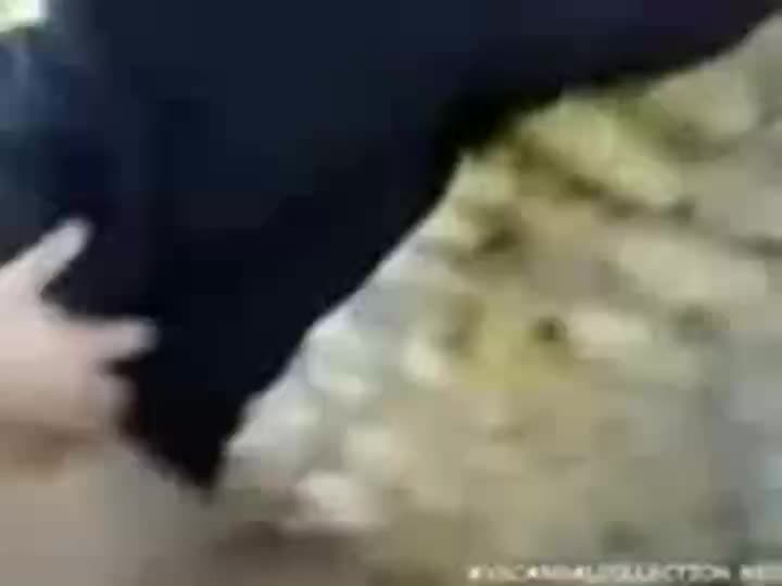 Ngentot Cewek Liar Seru Abis