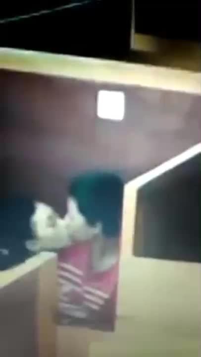 Bokep Skandal Ngintip Di Warnet Sepi Ciuman Dan Ngisep