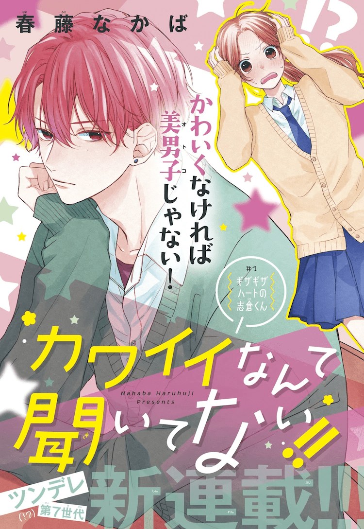 Kawaii nante Kiitenai