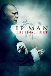 Ip Man: The Final Fight (Yip Man: Jung gik yat jin)
