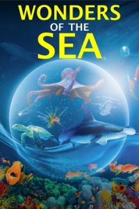 Wonders of the Sea (Wonders of the Sea 3D)