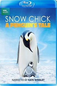 Snow Chick: A Penguin’s Tale 