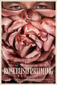 Poster Rosebush Pruning