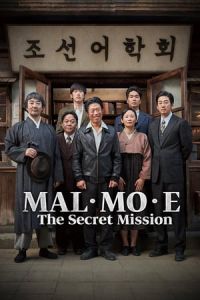 The Secret Mission (Malmoi)