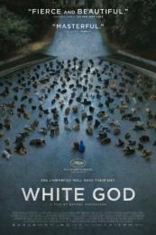White God (Feher isten)