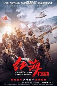 Operation Red Sea (Hong hai xing dong)