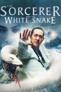 The Sorcerer and the White Snake (Bai she chuan shuo)