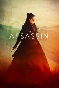 The Assassin (Cike Nie Yinniang)