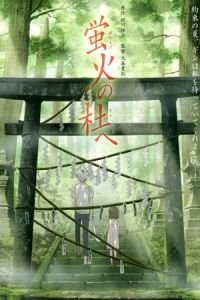 To the Forest of Firefly Lights (Hotarubi no mori e)